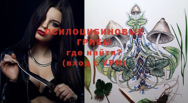 эйфоретик Медногорск