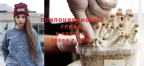 эйфоретик Медногорск