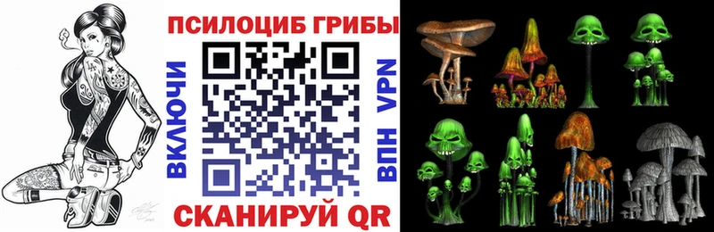 мориарти Telegram  мега вход  Серафимович  Галлюциногенные грибы Psilocybe 